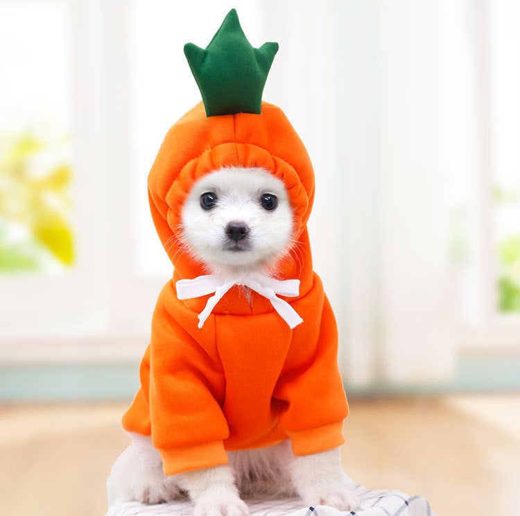 Ropa de Invierno para Perros Pequeños con Diseño de Frutas – Suéteres Cálidos y Cómodos para Perros y Gatos