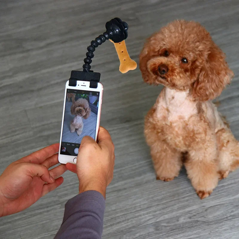 Herramienta de Fotografía para Mascotas: Captura el Mejor Selfie con tu Peludito