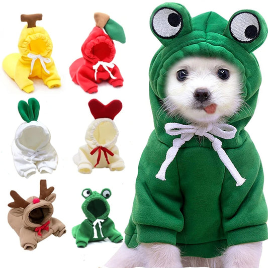 Ropa de Invierno para Perros Pequeños con Diseño de Frutas – Suéteres Cálidos y Cómodos para Perros y Gatos